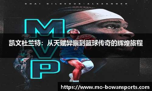 博万体育